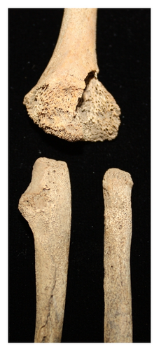 Details are in the caption following the image