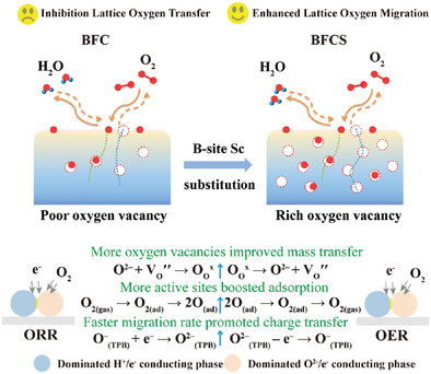 Modulating Lattice Oxygen Activity of Iron-Based Triple-Conducting Nanoheterostructure Air Electrode via Sc-Substitution Strategy for Protonic Ceramic Cells