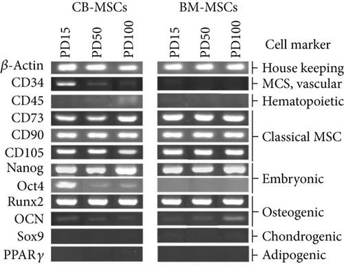 Details are in the caption following the image