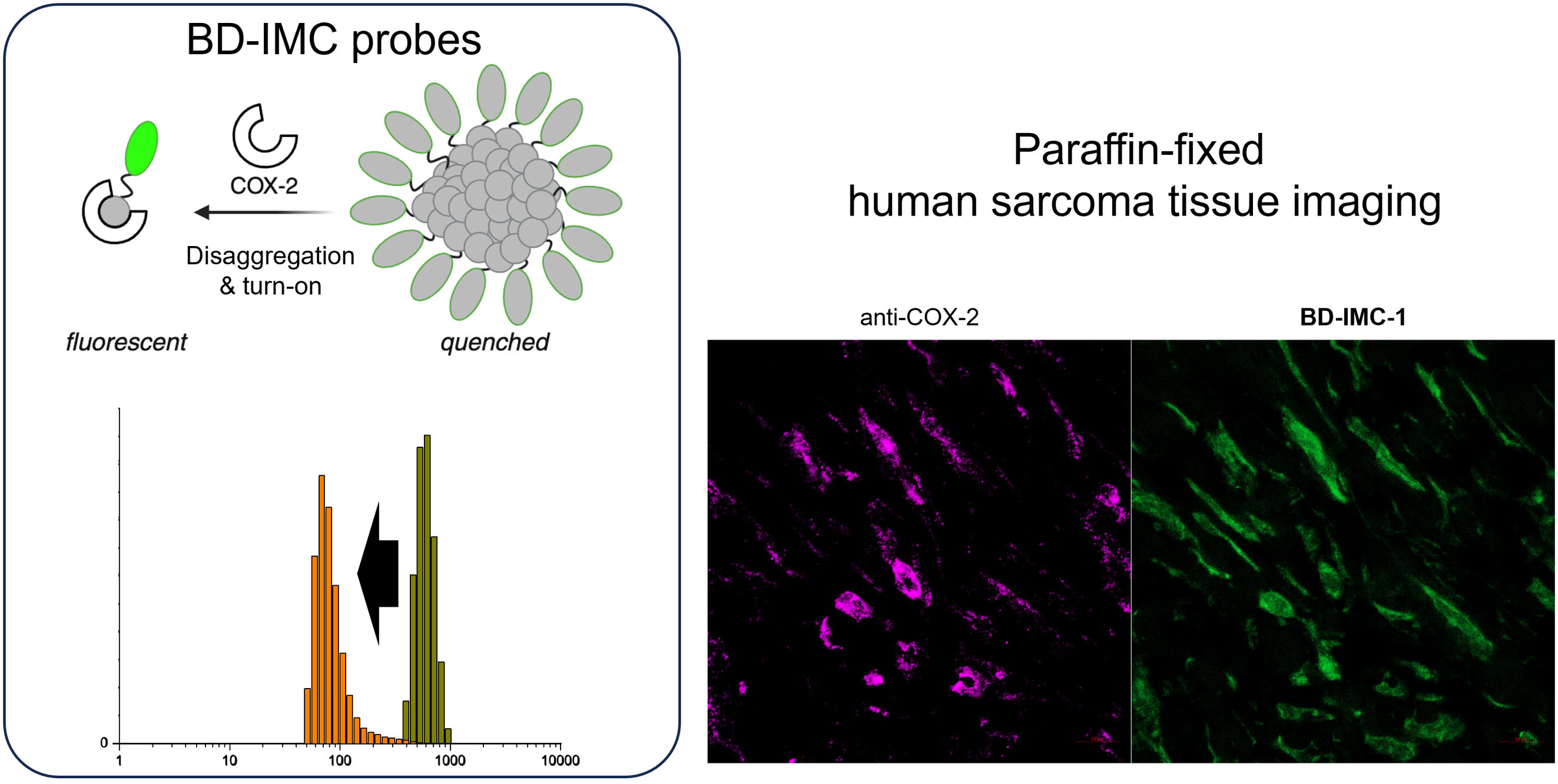Disaggregation-Activated pan-COX Imaging Agents for Human Soft tissue Sarcoma