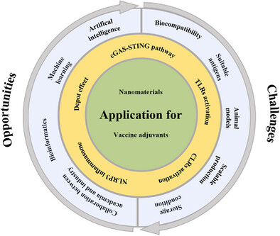 Opportunities and Challenges for Nanomaterials as Vaccine Adjuvants
