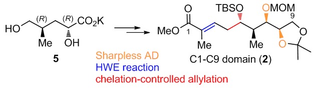 Synthesis of C1–C9 Domain of the Nominal Didemnaketal A