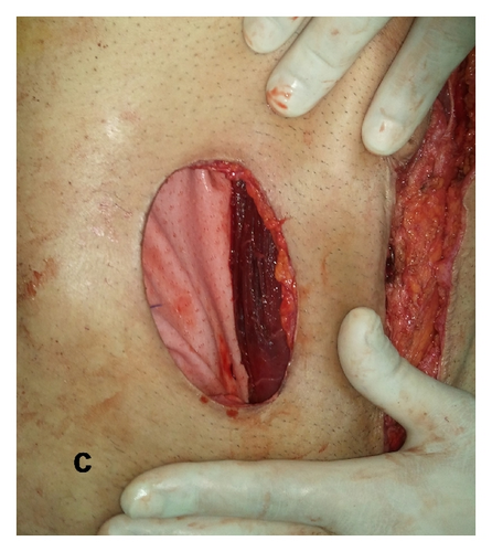 Details are in the caption following the image Details are in the caption following the image