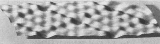 Scanning Tunneling Microscopy—from Birth to Adolescence (Nobel Lecture)