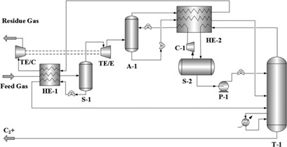 Optimization and Exergy Analysis of Natural Gas Liquid Recovery Processes for the Maximization of Plant Profits