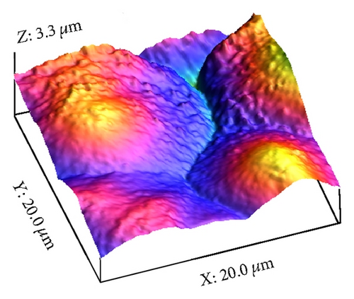 Details are in the caption following the image