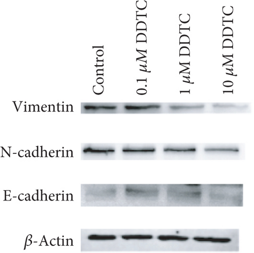 Details are in the caption following the image