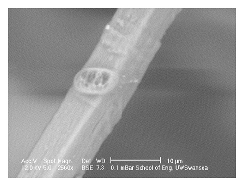 Details are in the caption following the image