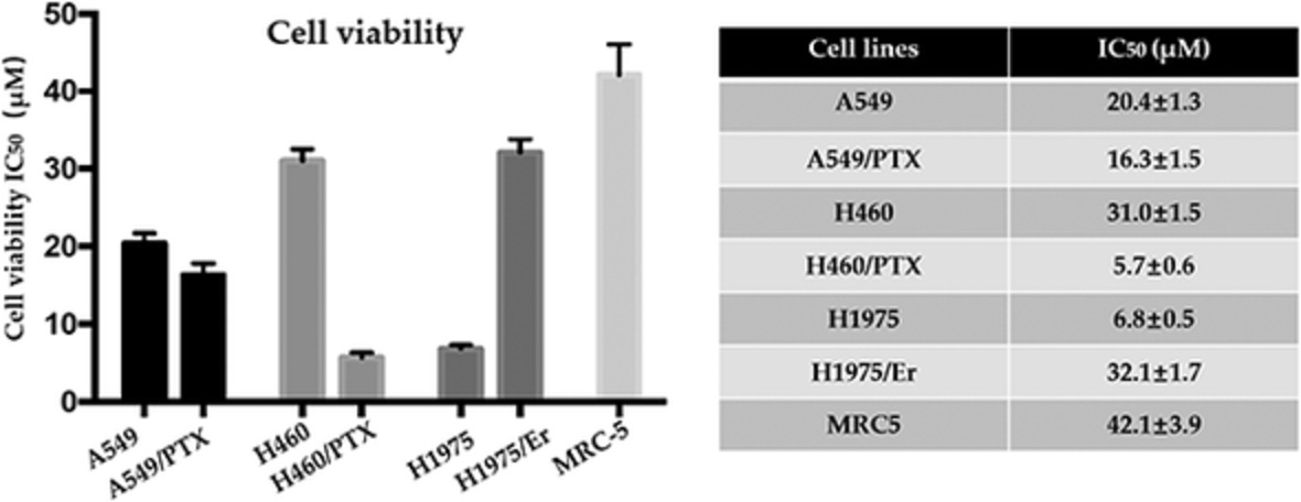 Potential monoamine oxidase A inhibitor suppressing paclitaxel-resistant non-small cell lung cancer metastasis and growth