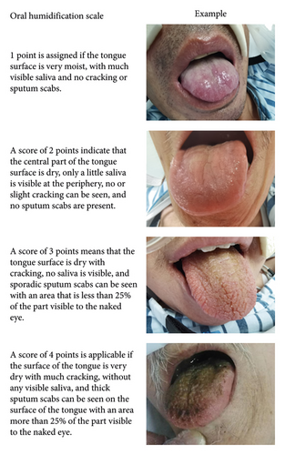 Details are in the caption following the image Details are in the caption following the image