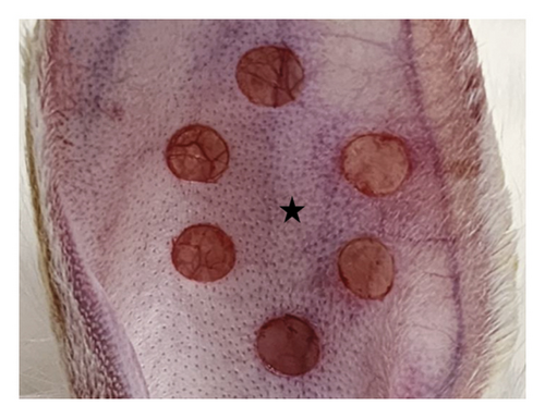Details are in the caption following the image