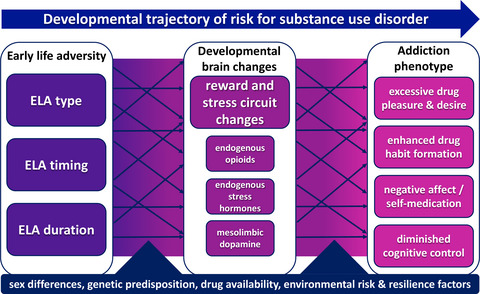 Neurodevelopmental origins of substance use disorders: Evidence from animal models of early-life adversity and addiction