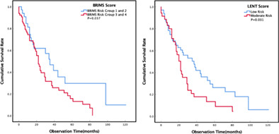 Prediction modeling using routine clinical parameters to stratify survival in malignant pleural mesothelioma patients complicated with malignant pleural effusion