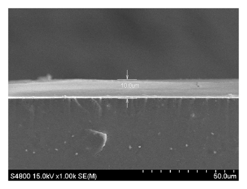 Details are in the caption following the image