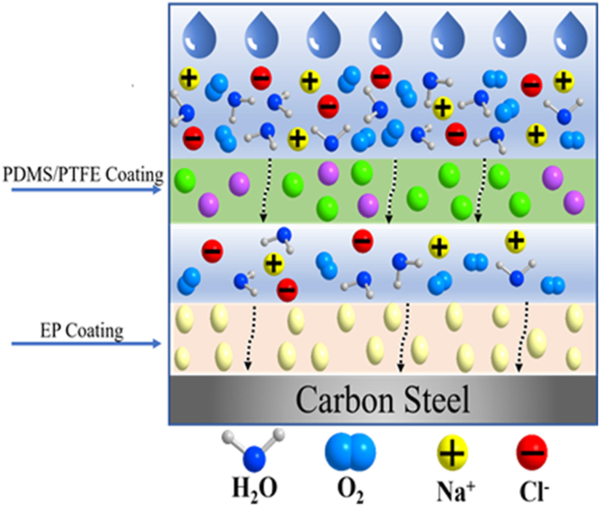 Study on preparation and anticorrosive performance of a new high hydrophobic anticorrosive coating