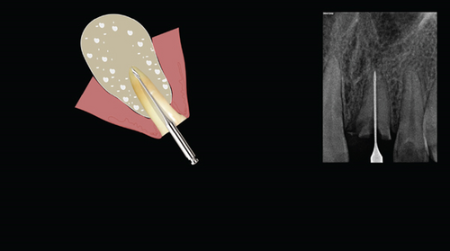 Details are in the caption following the image Details are in the caption following the image