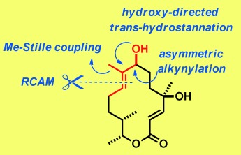 Selective Formation of a Trisubstituted Alkene Motif by trans-Hydrostannation/Stille Coupling: Application to the Total Synthesis and Late-Stage Modification of 5,6-Dihydrocineromycin B