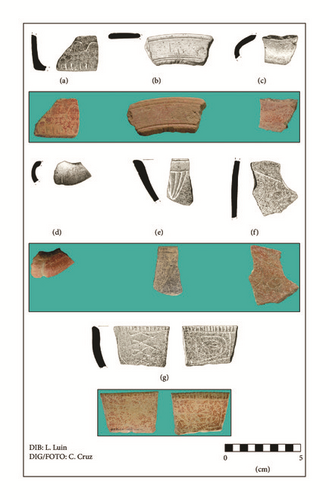 Details are in the caption following the image Details are in the caption following the image