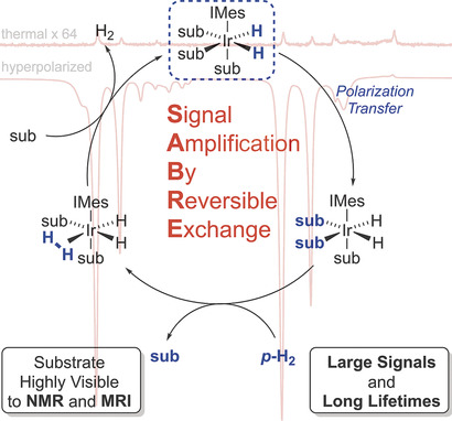 Signal Amplification by Reversible Exchange (SABRE): From Discovery to Diagnosis