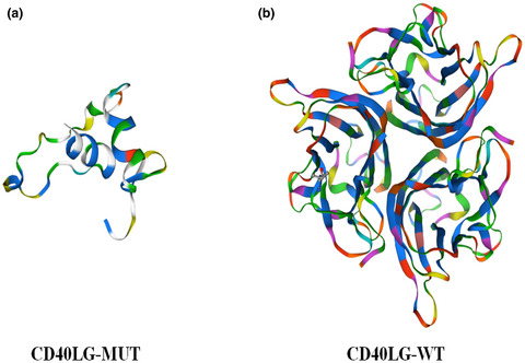 Mitochondrial DNA insert into CD40 ligand gene-associated X-linked hyper-IgM syndrome