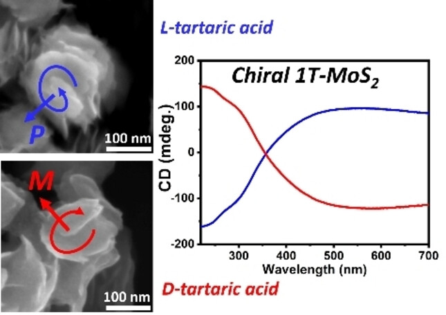 Bottom-up Synthesis of Highly Chiral 1T Molybdenum Disulfide Nanosheets