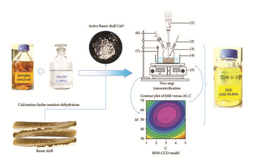 Details are in the caption following the image Details are in the caption following the image