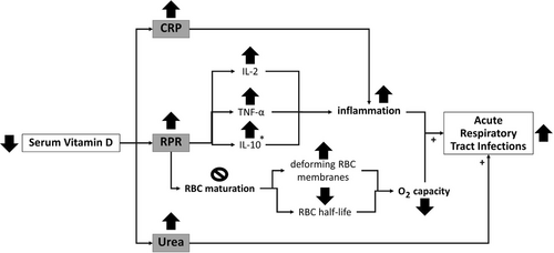 Details are in the caption following the image