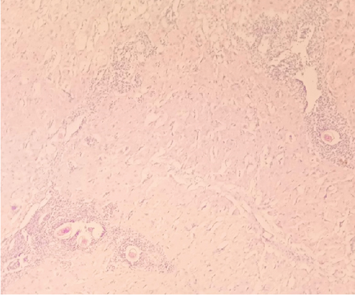Details are in the caption following the image