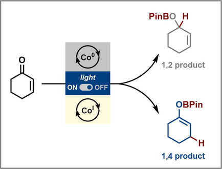 Photocontrolled Cobalt Catalysis for Selective Hydroboration of α,β-Unsaturated Ketones