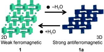 A Bistable Porous Coordination Polymer with a Bond-Switching Mechanism Showing Reversible Structural and Functional Transformations