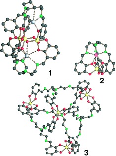 Selecting Different Complexes from a Dynamic Combinatorial Library of Coordination Compounds