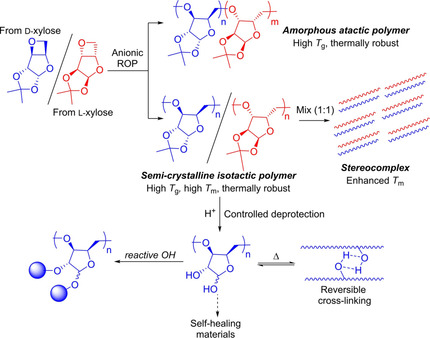Control of Crystallinity and Stereocomplexation of Synthetic Carbohydrate Polymers from d- and l-Xylose