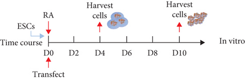 Details are in the caption following the image Details are in the caption following the image
