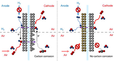Copper-Tailored Molybdenum-Nickel Catalyst Boosts Hydrogen Oxidation and Suppresses Parasitic Oxygen Reduction for Durable Fuel Cells