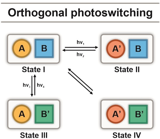 Orthogonal Photoswitching in a Porous Organic Framework
