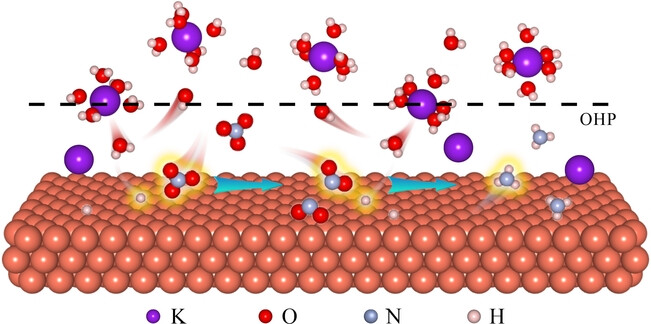 Modulating the Electrolyte Microenvironment in Electrical Double Layer for Boosting Electrocatalytic Nitrate Reduction to Ammonia