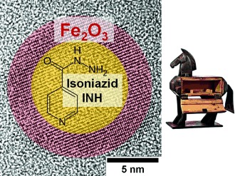 Isoniazid@Fe2O3-Nanocontainer mit antibakterieller Wirkung auf Tuberkulose-Mykobakterien