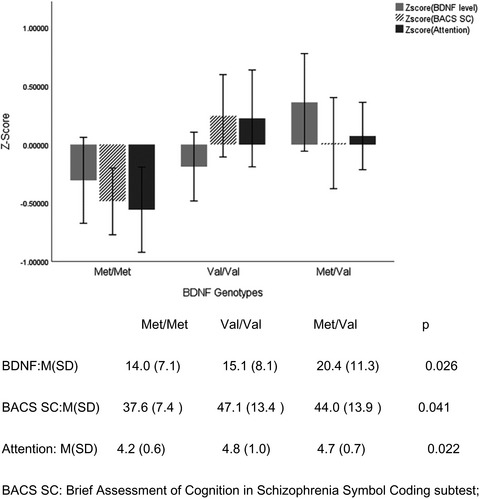 Associations between brain-derived neurotrophic factor and cognitive impairment in panic disorder