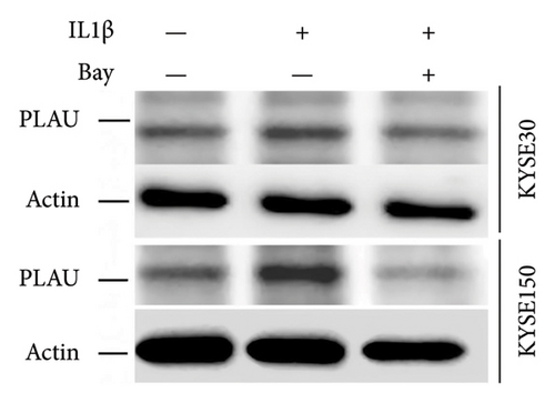 Details are in the caption following the image