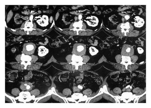 Details are in the caption following the image Details are in the caption following the image