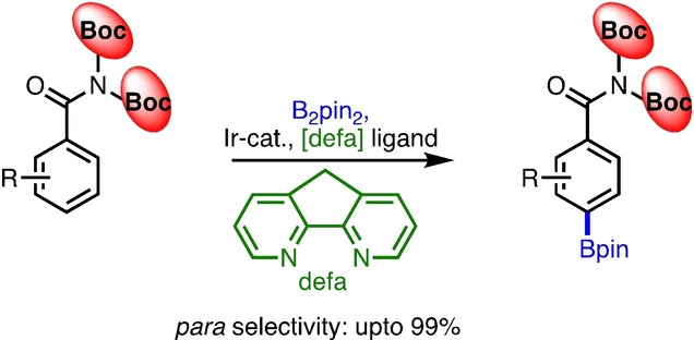 Iridium-Catalyzed Ligand-Controlled Remote para-Selective C−H Activation and Borylation of Twisted Aromatic Amides