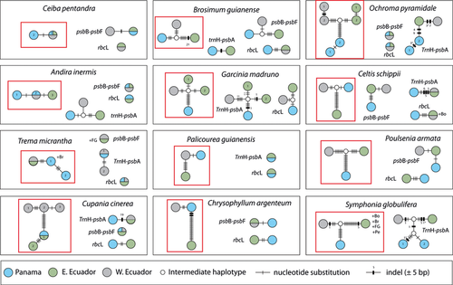 Details are in the caption following the image Details are in the caption following the image