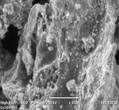 Details are in the caption following the image