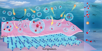 Arming Amorphous NiMoO4 on Nickel Phosphide Enables Highly Stable Alkaline Seawater Oxidation