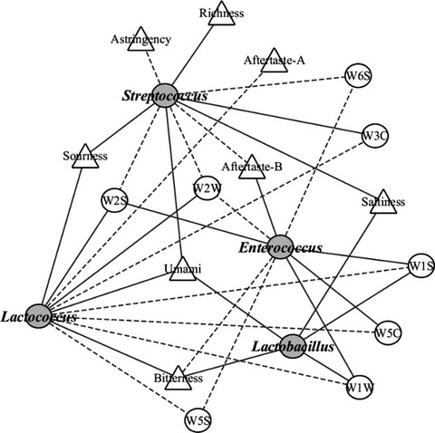 Evaluation of bacterial diversity of traditional cheese in Tarbagatay Prefecture, China, and its correlation with cheese quality