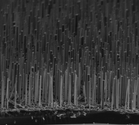 Synthesis and Photoelectrochemical Study of Vertically Aligned Silicon Nanowire Arrays
