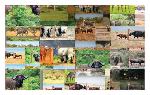 Details are in the caption following the image Details are in the caption following the image
