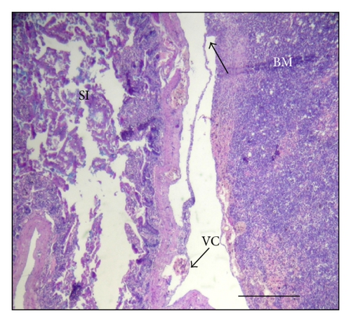 Details are in the caption following the image