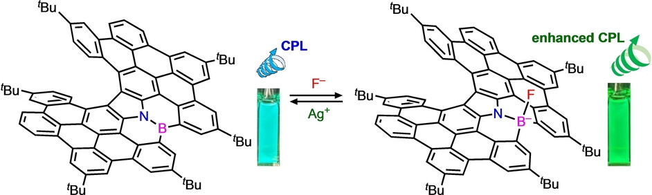 B,N-Embedded Helical Nanographenes Showing an Ion-Triggered Chiroptical Switching Function