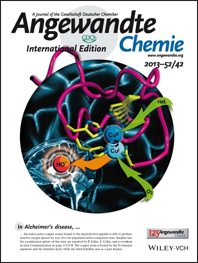 Inside Cover: The Catalytically Active Copper-Amyloid-Beta State: Coordination Site Responsible for Reactive Oxygen Species Production (Angew. Chem. Int. Ed. 42/2013)